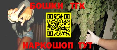 гашик Бердск