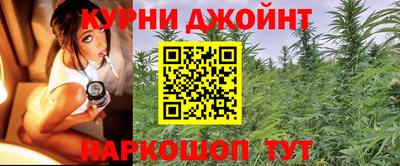 гашик Бердск