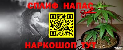 гашик Бердск